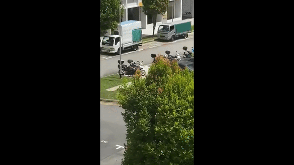 巴冷刀砍人追逐战，惊动新加坡特警！