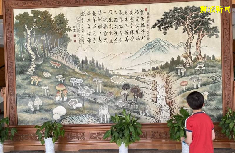 新加坡大雨一直下,媽媽這個是啥蘑菇?能吃嗎?額