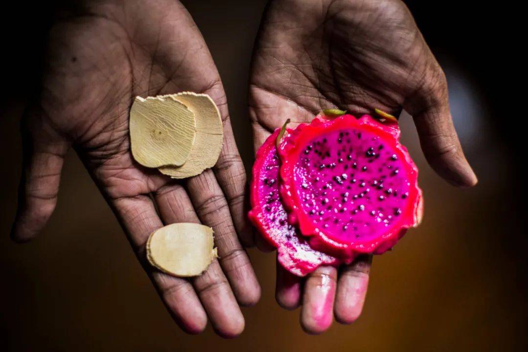 世界酒吧地图第八站:以蚂蚁鸡尾酒闻名的新加坡环保酒吧Native