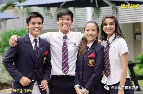 了解新加坡公立/私立/國際學校、理工/藝術/教育模式