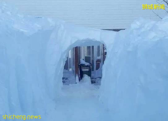 全球確診破700萬!2020,見證曆史的一年!