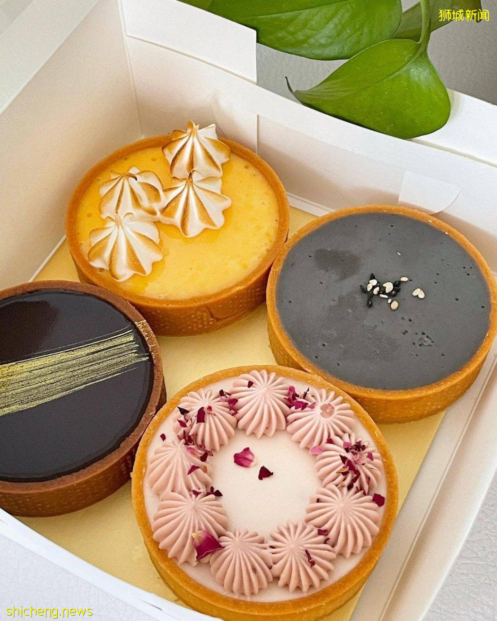 甜食控必吃的Wunderfolks手工挞!挞皮松香酥脆、馅料口感丝滑✨新店在Joo Chiat Road📌