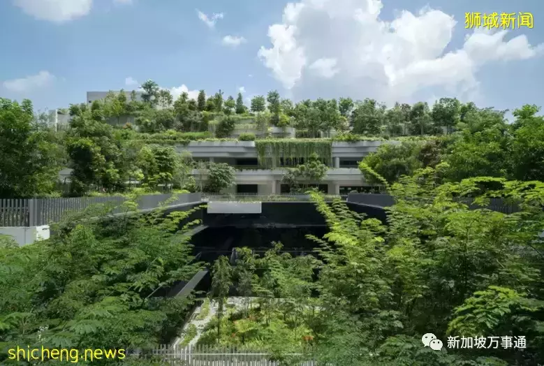 心想狮城 新加坡50年向海要20％的国土面积