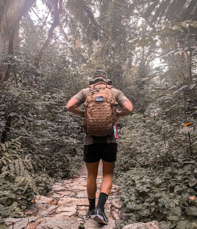 新加坡“麥裏芝蓄水池 MacRitchie Reservoir”深度遊！自然仙境、徒步指南、周邊活動逐個看