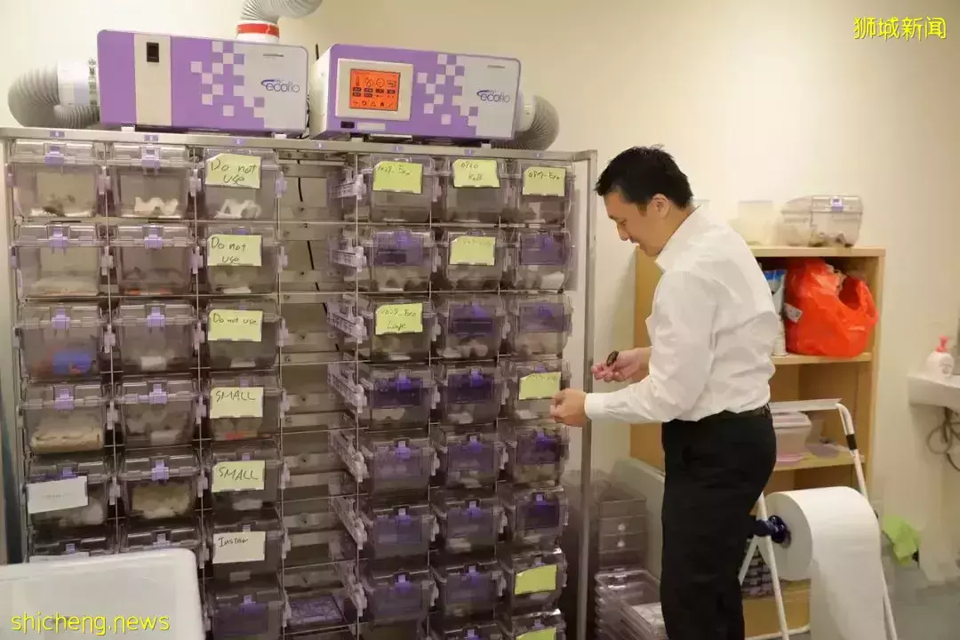 蟑螂恶霸?NTU 科学家研发救援用机械蟑螂