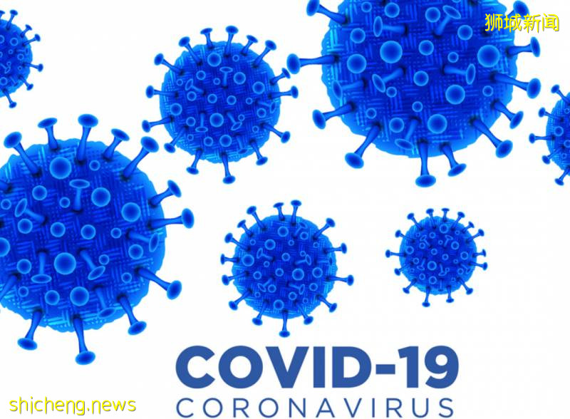 新婚夫婦新加坡上演真實版“人在囧途”!