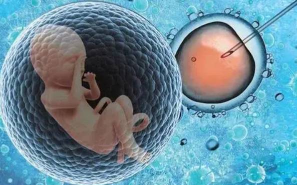 鄭爽事件“沸度”已跨到新加坡,從娛樂事件轉至國際社會問題