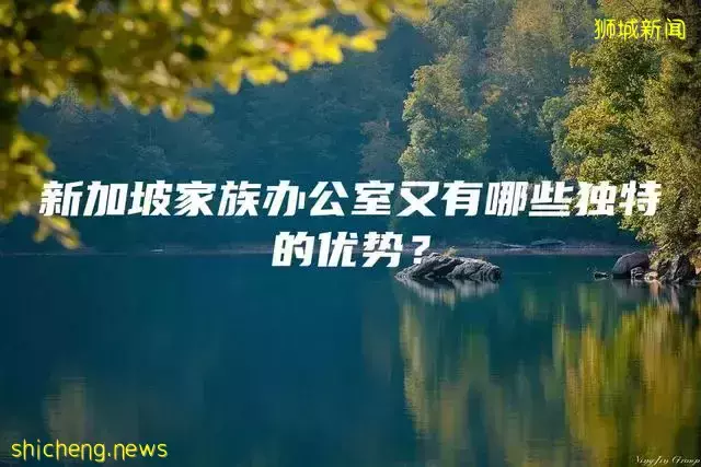 新加坡家族办公室又有哪些独特的优势