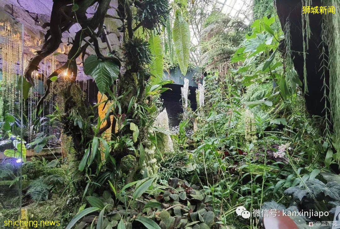 穿越魔幻国度！巨型玻璃艺术品出现在滨海湾