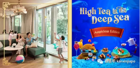 新加坡春节不出门，到这儿就是“出国”啦