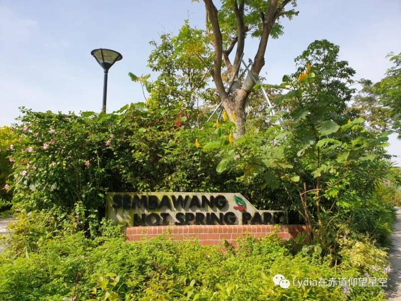 新加坡也有溫泉 三巴旺溫泉公園