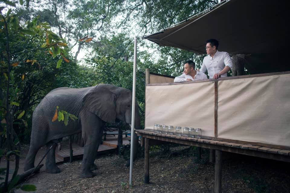 20190524-elephant safari.jpg