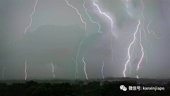 周末连两天狂风暴雨，“闪电之都”新加坡实至名归