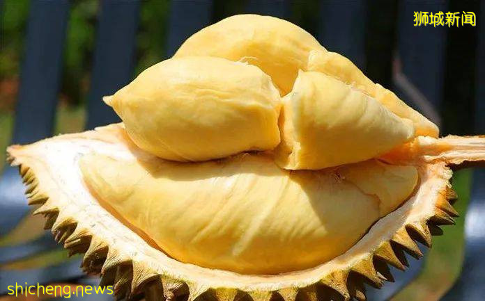 今年最后一波榴梿季!邻国大丰收,下个月猫山王或降至12元/KG