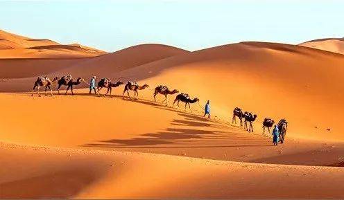 新加坡第一间丝路美食惊艳四方！-孜然花开，幸福自来