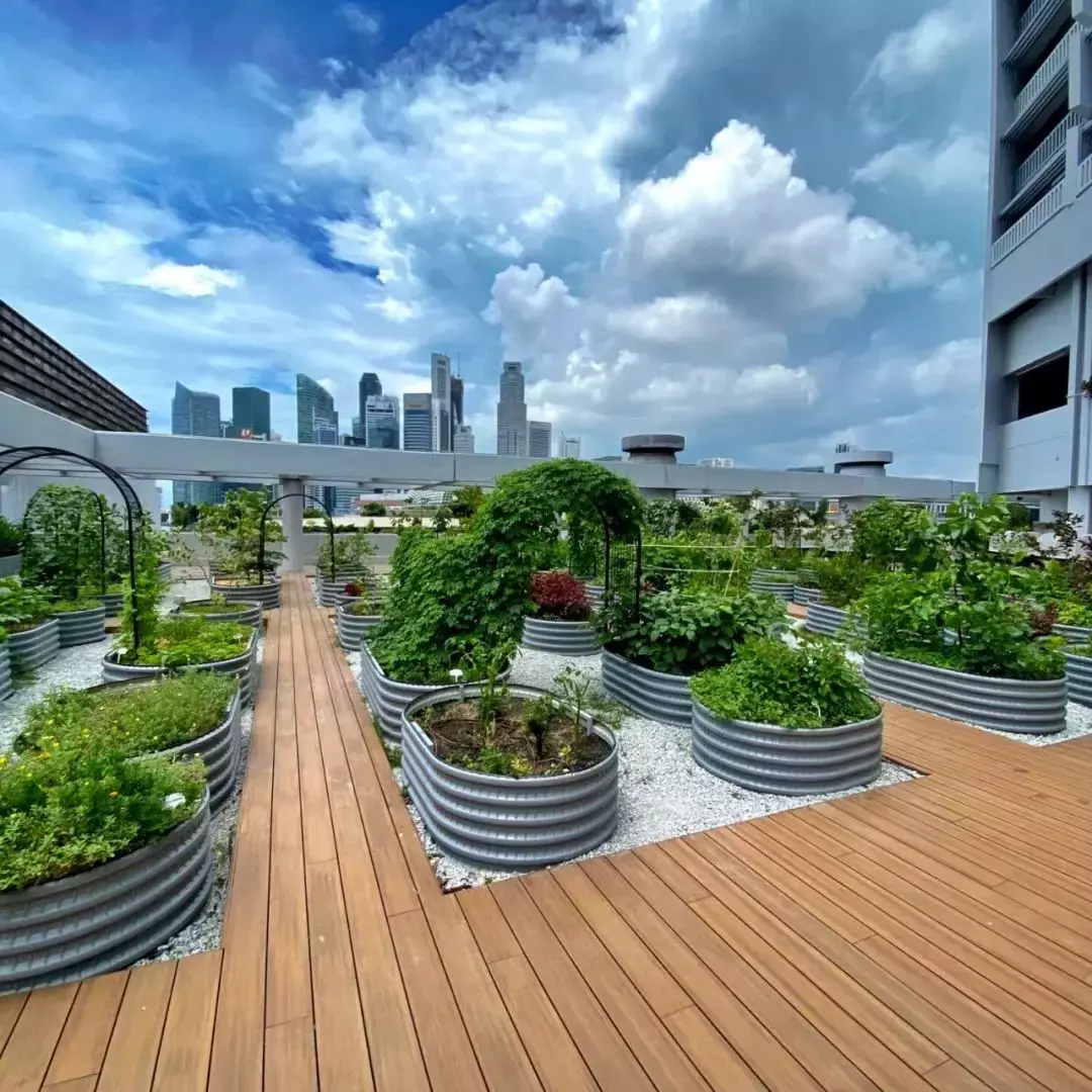 拥有2400多种植物,还有小鸟生活,新加坡这家酒店太美