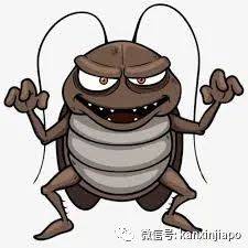 Get~在新加坡選衣櫥的正確打開方式