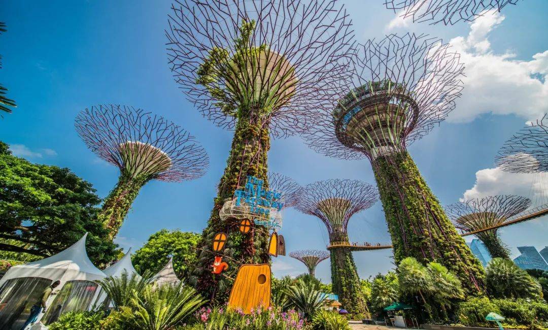 魅力獅城 爲什麽選擇新加坡