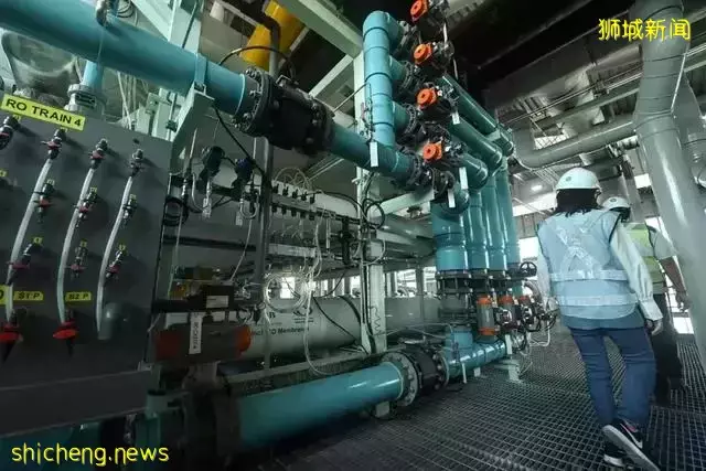 新加坡将冲厕水回收处理后酿成啤酒，首批上市后所剩无几，你会喝吗