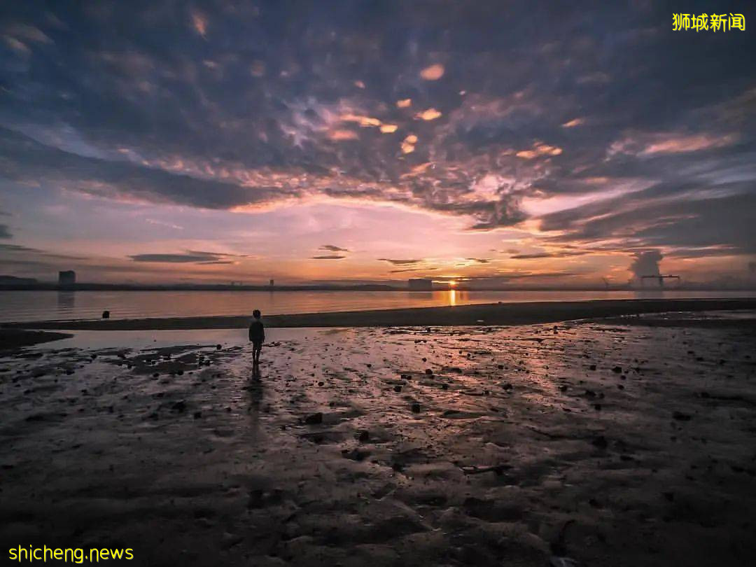 新加坡超棒的4個海灘，遛娃、放風筝、趕海、品美食