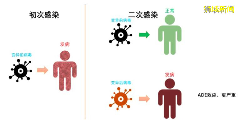 新加坡登“史上最嚴”骨痛熱症，或是受新冠疫情影響而成