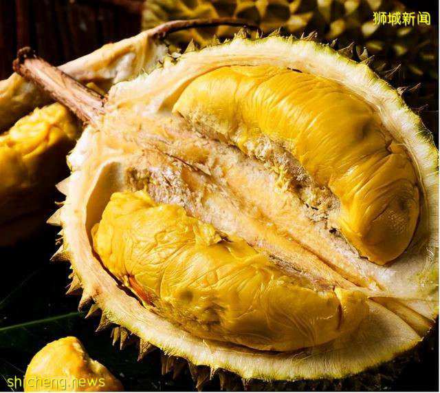 你感興趣的世界冷知識——新加坡篇