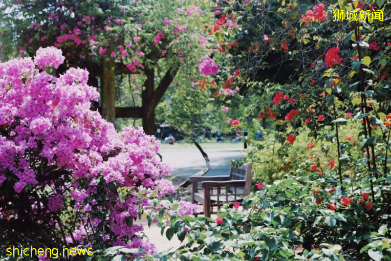 建築旅行 | 新加坡小衆景觀公園!