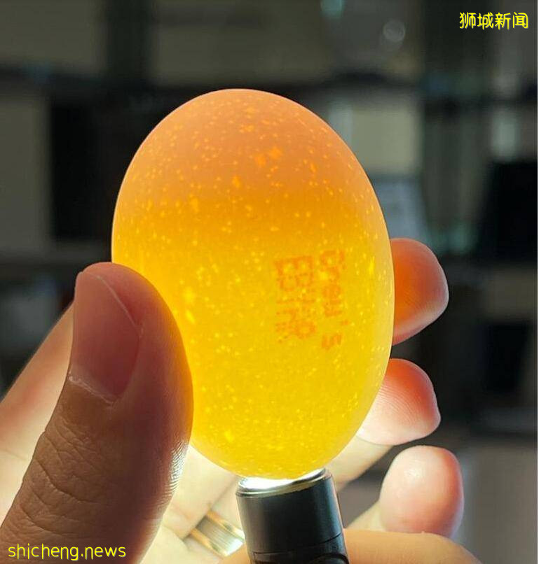 鸡蛋传出鸡叫吓坏新加坡妹纸!厂商哭驳:连公鸡都没有!真没办法受精