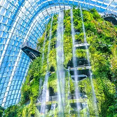 【去看看新加坡】体会不一样的“狮城”风情