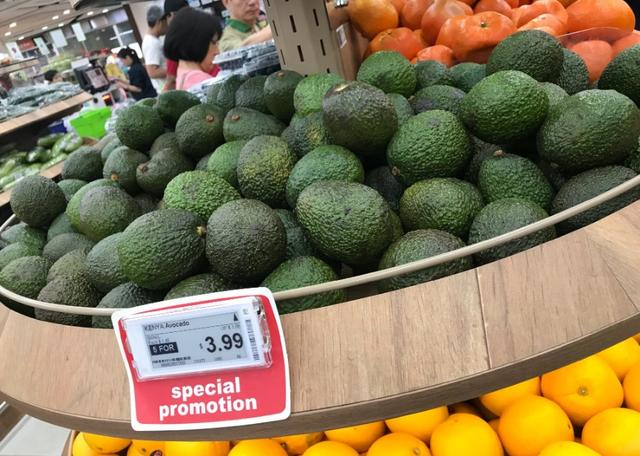 新加坡自由行(六)