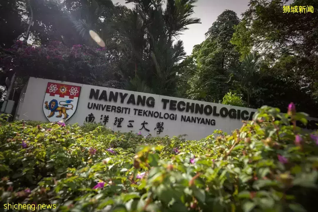 新加坡本科就业率创4年新高，这些专业毕业生起薪中位数高达6300