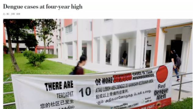 新發現！得過骨痛熱的人可能對新冠免疫