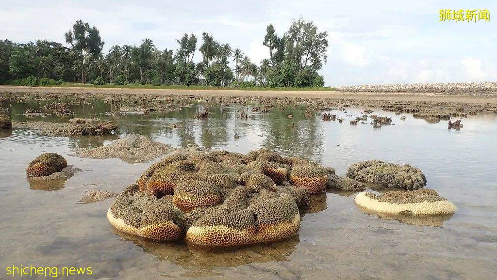 新加坡周边12个海岛推荐！无需签证，说走就走