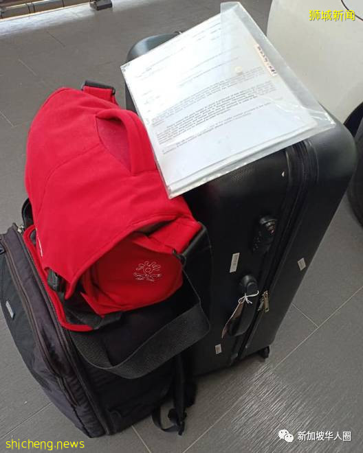 回新加坡后网友感叹,3个月手停口停,没中病毒,先饿死了