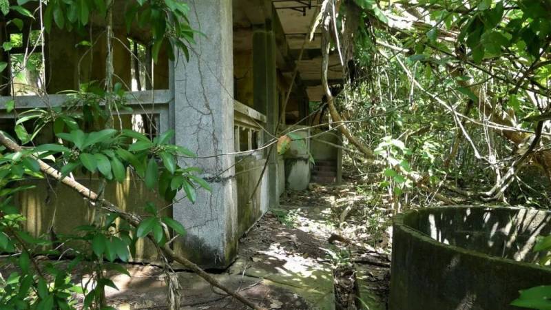 榜鵝:客路豬寮外行舟綠水前