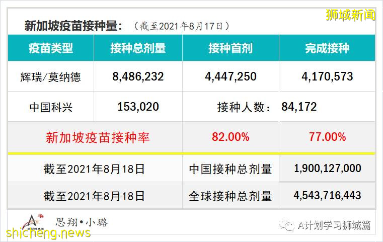 8月19日，新加坡疫情：新增32起，其中本土29起，輸入3起；公立培群學校一名小五生確診
