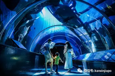 在新加坡也能“环游世界”,你差的只是这一份攻略