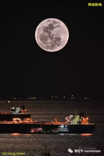 “​草莓月亮”登錄新加坡，今晚8點半以前迎來圓滿時刻