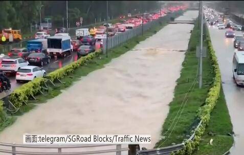 新加坡！雨҉雨҉雨҉雨҉雨҉雨҉41年最大雨量邀你看“黄河”