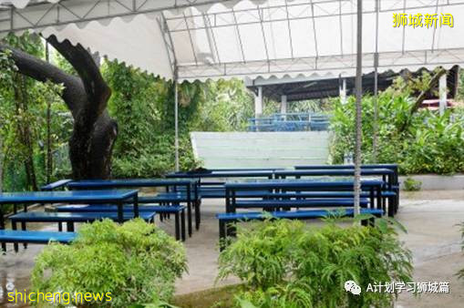 新加坡國際學校IB成績彙總（2021.5）