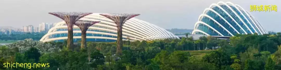 专家分析:新加坡房价在未来三到五年继续上升,但增速平稳