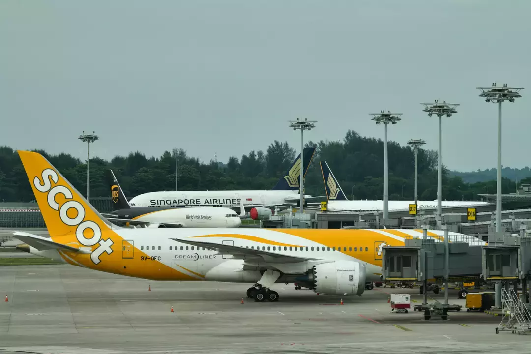 美国航班频熔断,新加坡也曾经历过!专家:我们将面临严峻新年