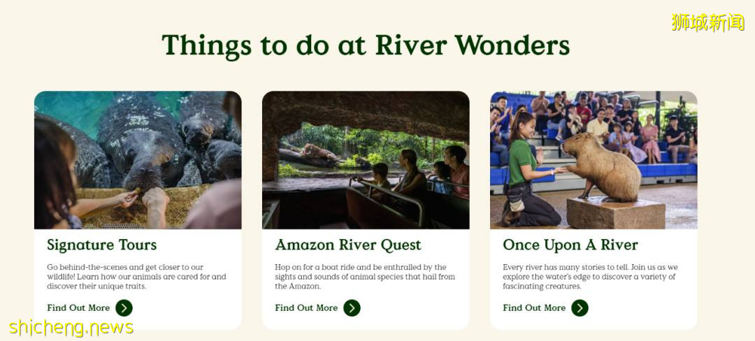 新加坡动物园大！升！级！雨林探险、动物互动，6园合1超期待