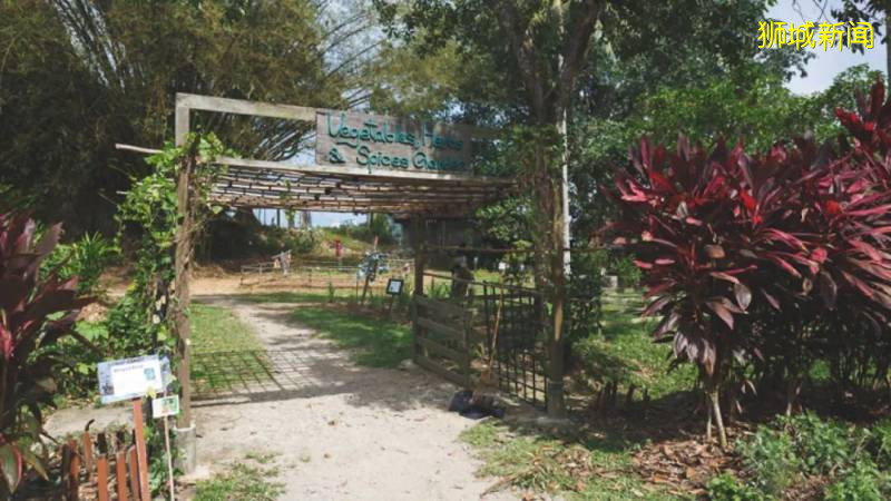 新加坡15個徒步遛娃好去處,我賭肯定有你不知道的