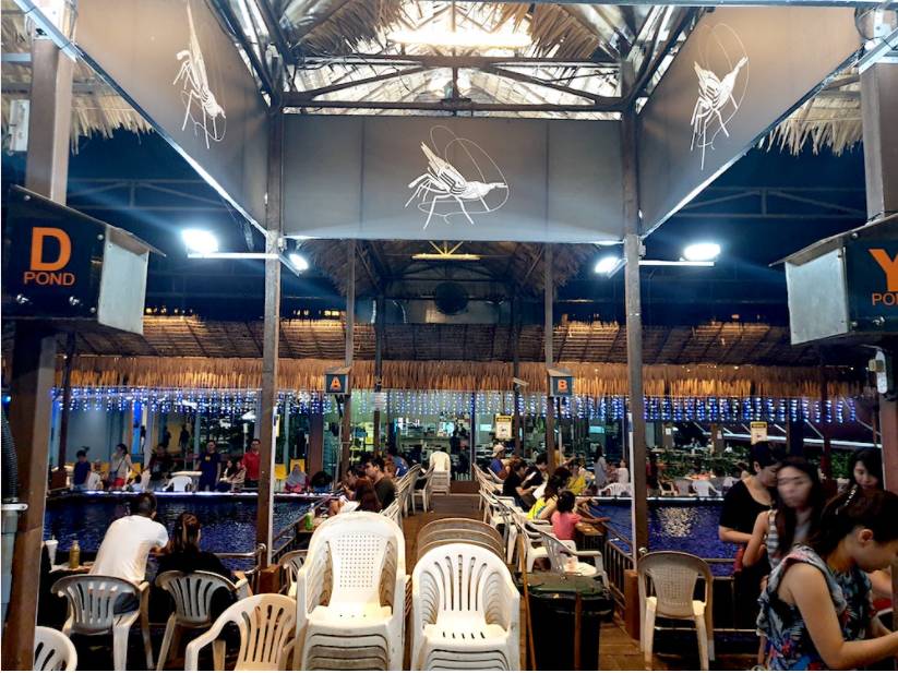 新加坡國民娛樂新玩法,養生釣蝦約不約