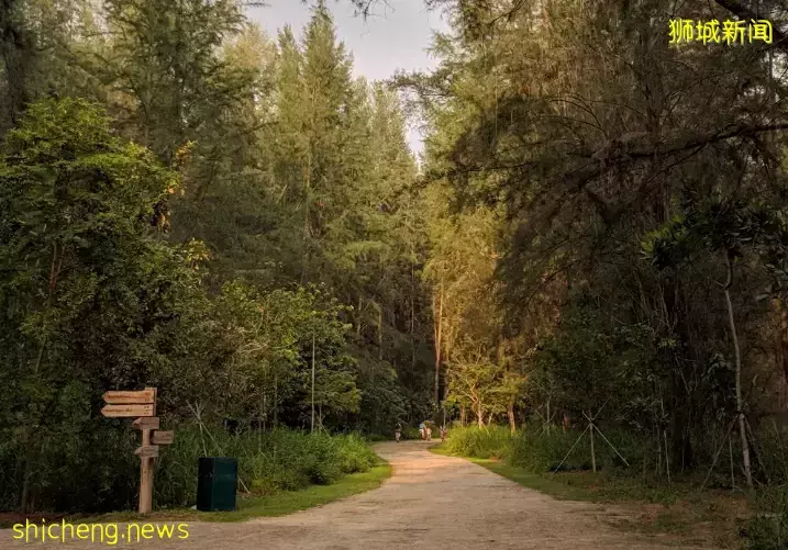 在新加坡的東北部,有個隱秘的小島!不用坐船,每天限時開放
