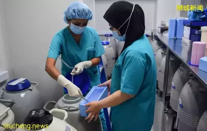 明年起解禁!新加坡年轻单身女孩也能“冻卵”