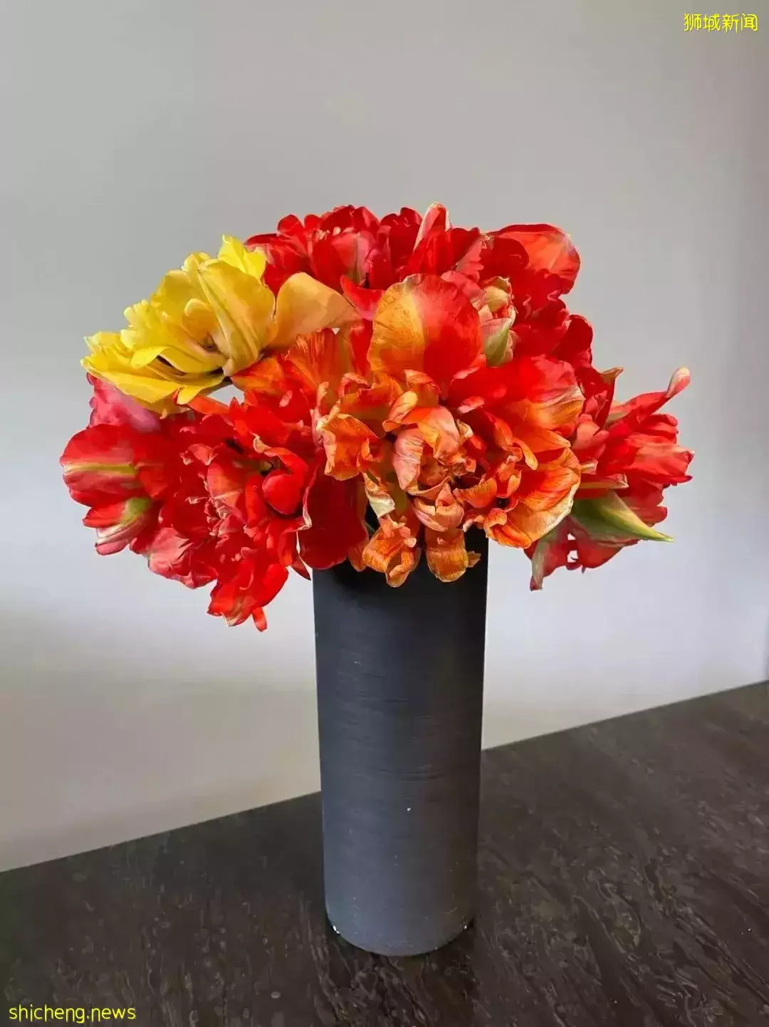 鮮花在熱帶也能養1個月？資深花友新加坡買花、養護大揭秘