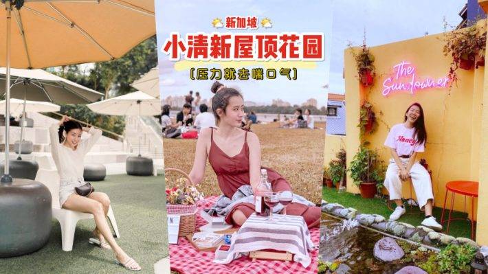 逃离地球表面🌍 新加坡精选版“顶楼”花园，心情不好就去吹吹风❤️ 城市里的绿洲，高空之上的美