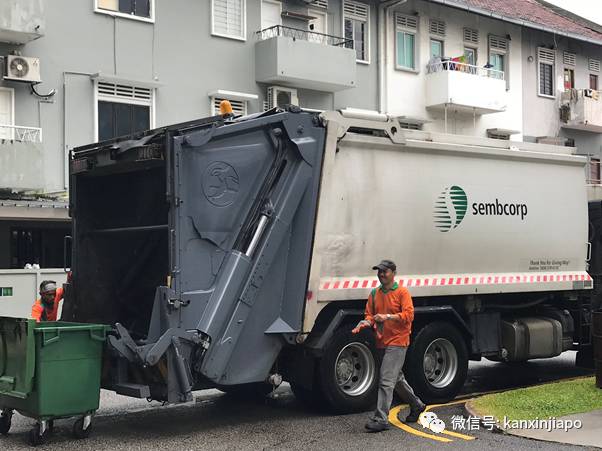 金文泰公鸡飞上3楼破窗而入,惨死居民屋内